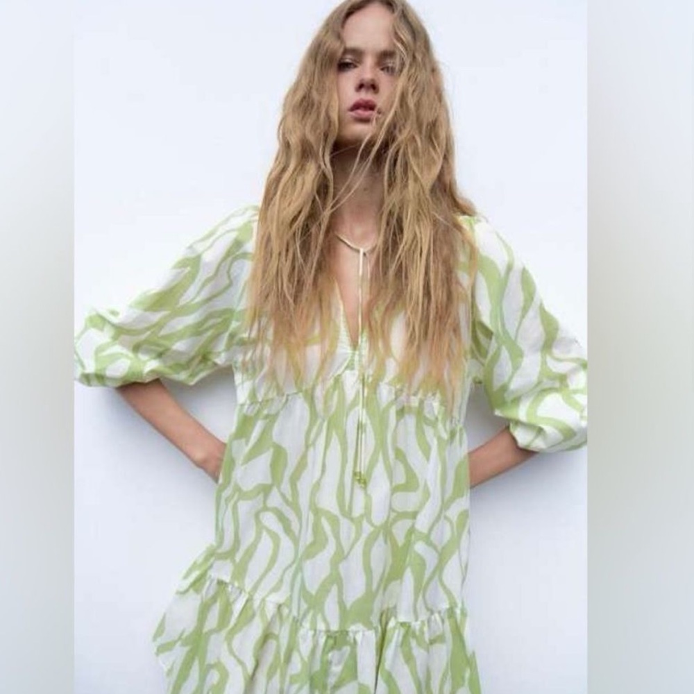 Zara the Jenny Dress NWT XS